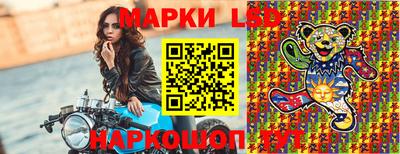 крисы Кунгур