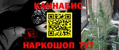 крисы Кунгур