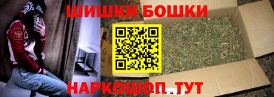 крисы Кунгур