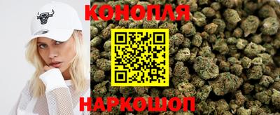 крисы Кунгур