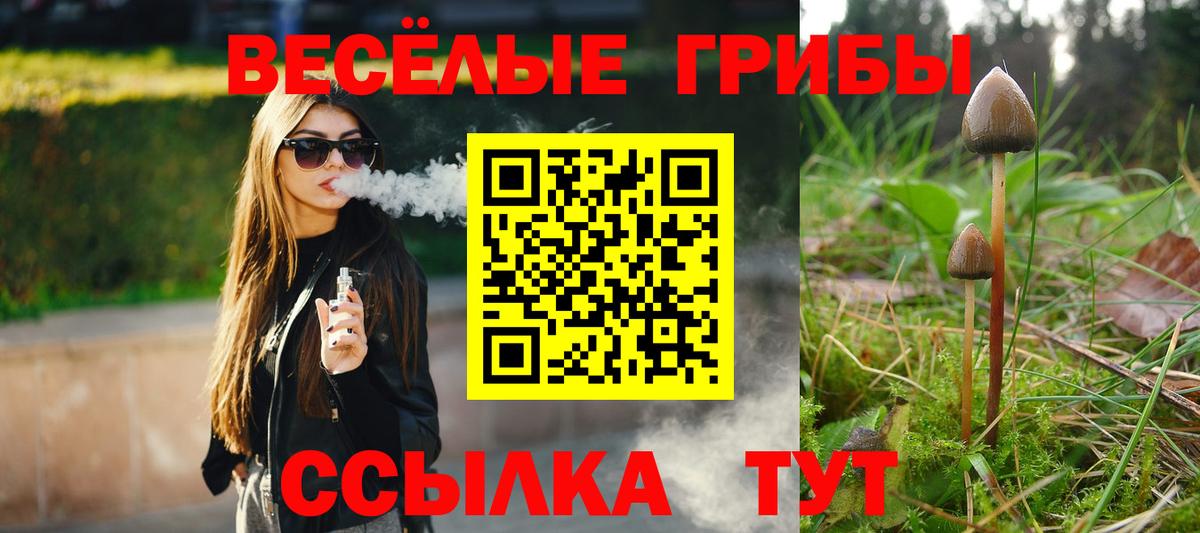 Псилоцибиновые грибы MAGIC MUSHROOMS  Вход с VPN  купить   Елизово 